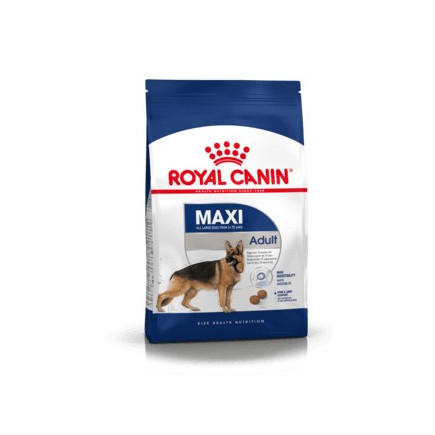 Royal canin shn maxi adult - sucha karma dla psa dorosłego - 15kg