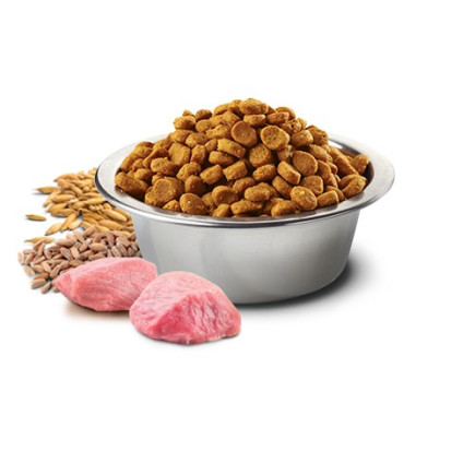 Farmina n&d ancestral grain selection – sucha karma dla psa – 12kg + 3kg