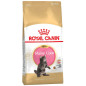 Sucha karma Royal canin maine coon kitten 2kg