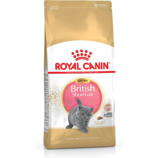 Karma royal canin fbn kit brit shorth (2 kg )