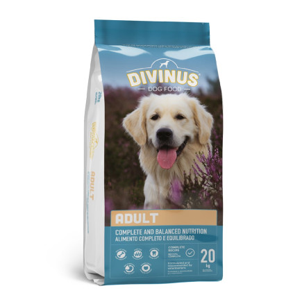 Divinus adult dla psów dorosłych 20kg