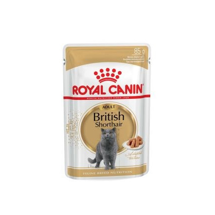 Royal canin british shorthair pakiet 12x85g