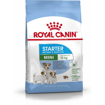 Royal canin mini starter mother & babydog 1kg