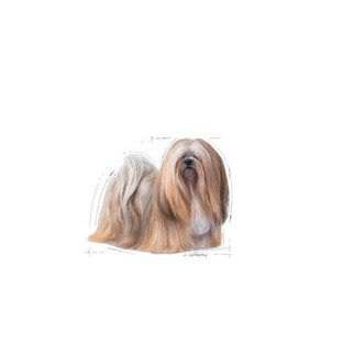 Royal canin mini exigent - sucha karma dla psów wybrednych - 1kg