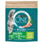 Purina one indoor bogata w indyka i pełne ziarna 800g