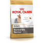 Karma sucha Royal canin yorkshire terrier 0,5kg