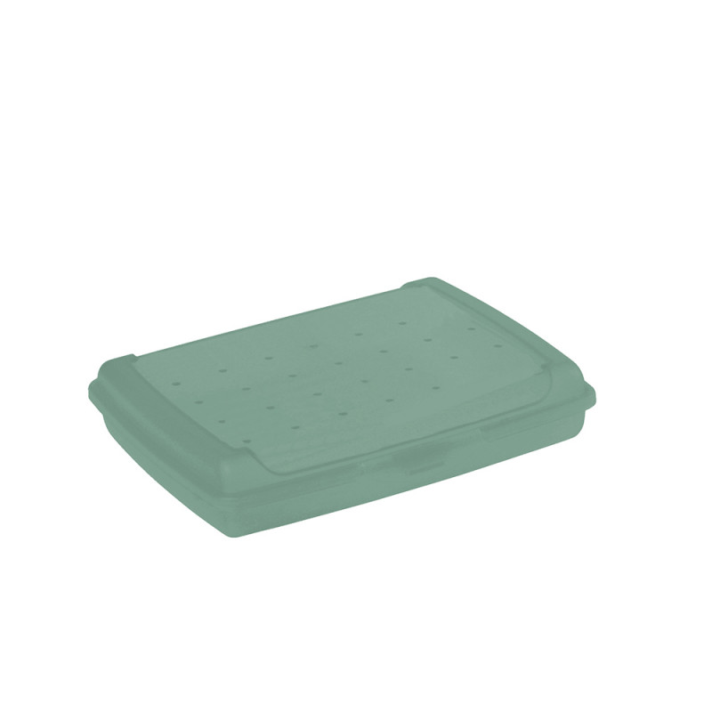 Pojemnik Luca Click Box Mini 17x13x3,5cm 0,5l Zielony EAN: 4052396081336
