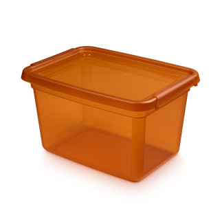 BASESTORE POJEMNIK Z POK.I KLIPSAMI 28X38X22,5CM 15L AMBER (2552)