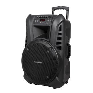 Aktywna kolumna głośnikowa (z 2 mikrofonami bezprzewodowymi uhf, sd, bluetooth, fm, usb) 60 watt