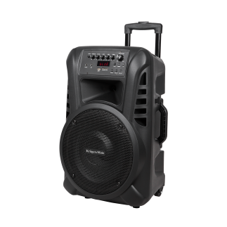 Aktywna kolumna głośnikowa (z 2 mikrofonami bezprzewodowymi uhf, sd, bluetooth, fm, usb) 40 watt