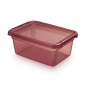 Pojemnik z pokrywą i klipsami Basestore 28x38x16cm 12,5l rhubarg EAN: 5902541252243