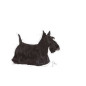 Royal canin mini dermacomfort - karma sucha dla psów dorosłych ras małych o wrażliwej skórze, skłonnej do podrażnień - 3kg