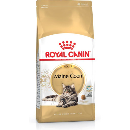 Royal canin fbn maine coon adult - sucha karma dla kota dorosłego - 4kg