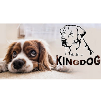 Legowisko dla psa 145 x 115 czerwone kingdog