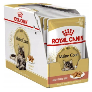Royal canin fbn maine coon 12x85g