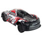 Auto sportowe R/C 1:8 Szare Białe - EAN: 5905515359337