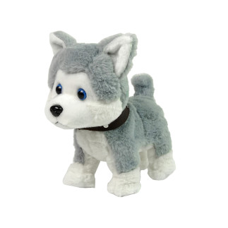 Pluszowy piesek husky interaktywny edukacyjny smycz piosenki chodzi