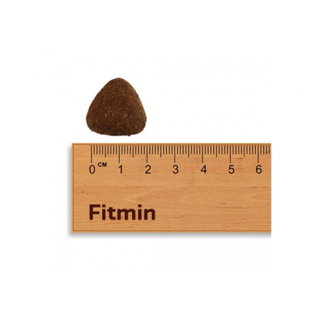 Fitmin purity grainfree adult&junior ryba - sucha karma dla psa - 12kg