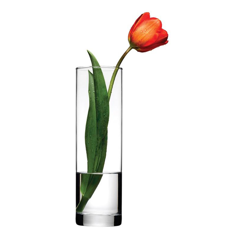 PS-43767-WAZON PROSTY 26,5CM BOTANICA