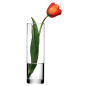 PS-43767-WAZON PROSTY 26,5CM BOTANICA