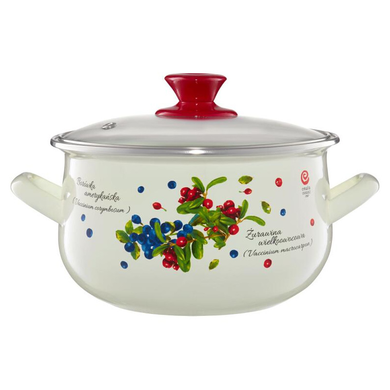 EO-O.GARNEK 20CM 4,2L PYZA BOROWKA IND