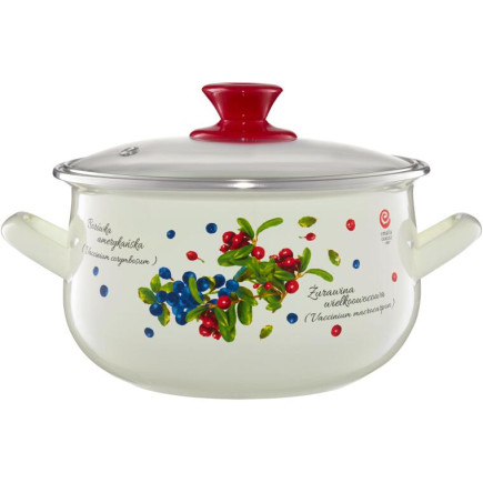EO-O.GARNEK 20CM 4,2L PYZA BOROWKA IND
