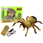 Zdalnie Sterowany Pająk Tarantula R/C Żółty - EAN 5905884458891