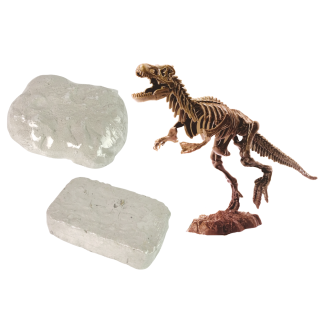 Zestaw archeologiczny 2w1 dinozaur szkielet tyranozaur
