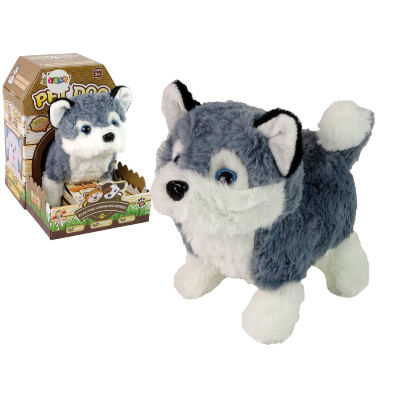 Interaktywna maskotka pies husky chodzi porusza ogonem dźwięk