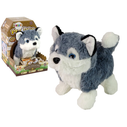 Interaktywna maskotka pies husky chodzi porusza ogonem dźwięk