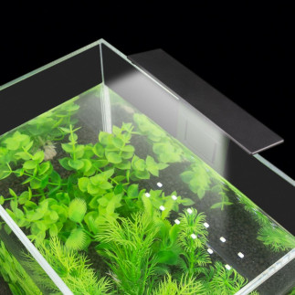 Zd80 lampka akwariowa 5w