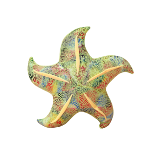 Maskotka Pluszowa Rozgwiazda Zielona Poduszka 20 cm - EAN: 5905884451137