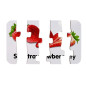 Puzzle edukacyjne "Owoce" - układanka 10 połączeń EAN: 5903802453911