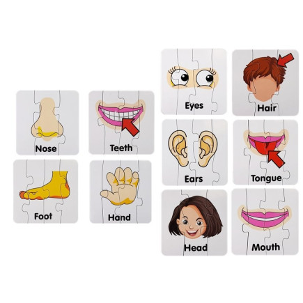Puzzle Edukacyjne Układanka Części Ciała 10 Połączeń EAN: 5903802454048