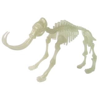 Świecący w ciemności szkielet 3d dinozaury mamut w jajku