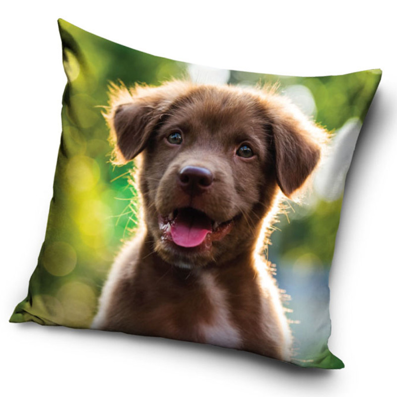 Poszewka Velvet Piesek 40x40 EAN: [tutaj wpisz ean]