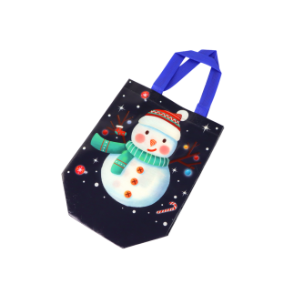 Torba prezentowa bałwan ciemna 23x21,5cm EAN: 5905884453179