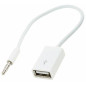 Ak290 Adapter AUX Mini Jack 3.5mm USB - EAN: 5907621810542