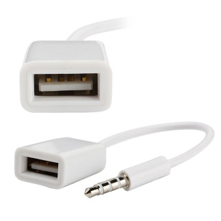 Ak290 Adapter AUX Mini Jack 3.5mm USB - EAN: 5907621810542