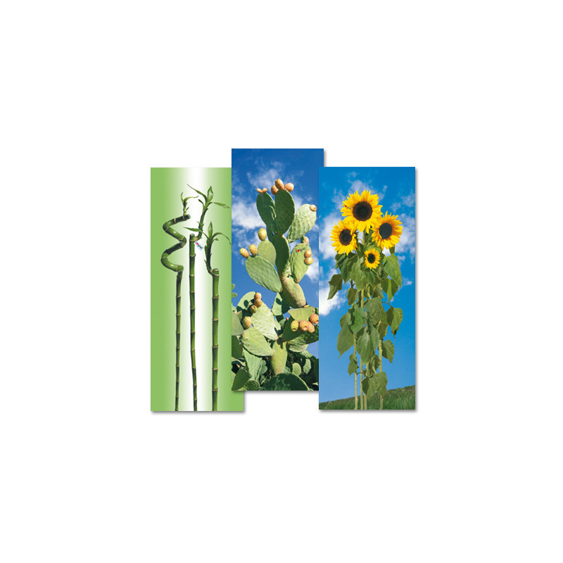 Oczywiście, oto proponowana nazwa produktu: 
"Premium Kawa z Owsianym Mlekiem Barista 8001244006683" Oczywiście, oto proponowana nazwa produktu: 
"Premium Kawa z Owsianym Mlekiem Barista 8001244006683"