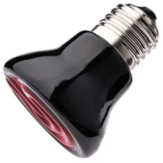 Ag902 żarówka grzewcza do terrarium 50w   e27