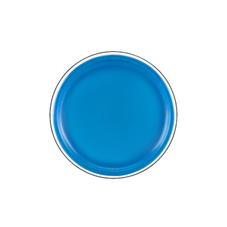 Dysk latający frisbee z dinozaurem niebieski 20 cm