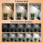 Lampa Pierścieniowa Zd67f do Selfie z Uchwytami - EAN: 5907621853952