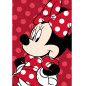 Koc Flanelowy Myszka Minnie Czerwony Coral EAN: [wprowadź ean]