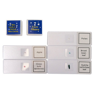 Mikroskop dziecięcy walizka nauka 300x 600x 1200x