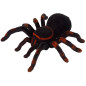Zdalnie Sterowany Pająk Tarantula Czarny R/C EAN: 5905323213043