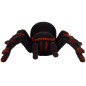 Zdalnie Sterowany Pająk Tarantula Czarny R/C EAN: 5905323213043