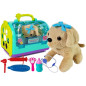 Zestaw weterynarz z pieskiem i transporterem - EAN: 5905214973322