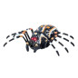 Zdalnie sterowany pająk tarantula czarny R/C z podczerwienią EAN: 5905991028109