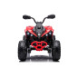 Can-Am Renegade Akumulator Czerwony 5905323218260